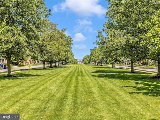 surrounding community with a lawn