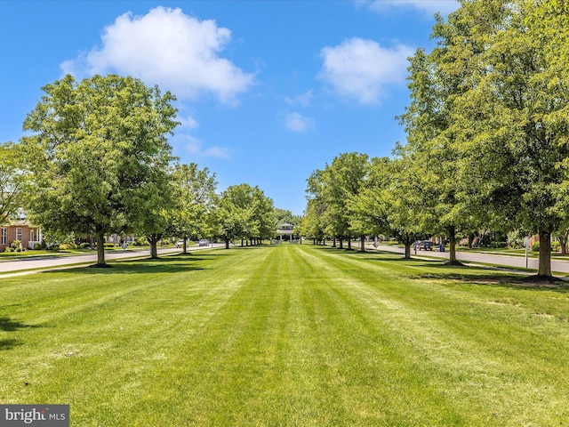 view of property's community featuring a yard
