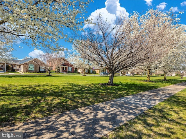 surrounding community with a lawn