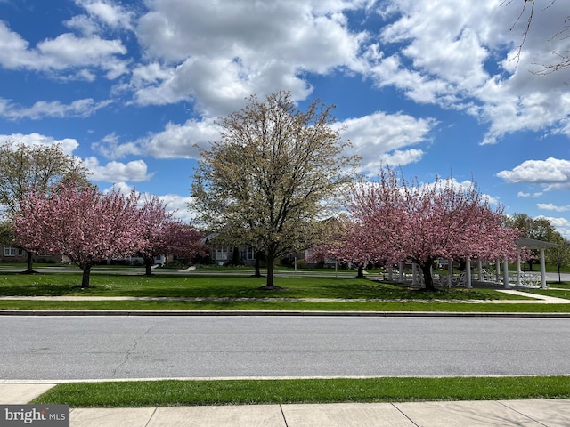 view of road featuring sidewalks and curbs