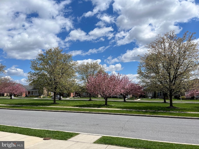view of road featuring curbs and sidewalks