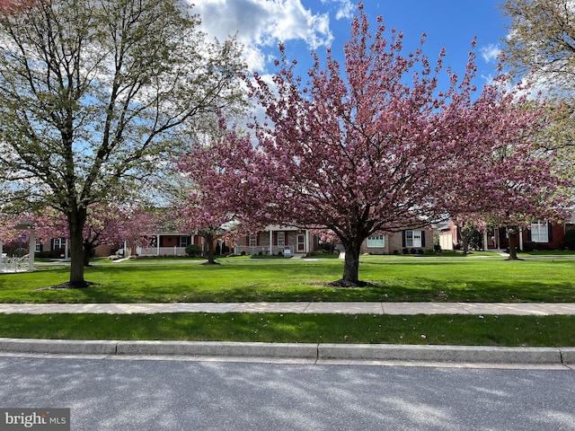 view of property hidden behind natural elements featuring a front lawn and brick siding