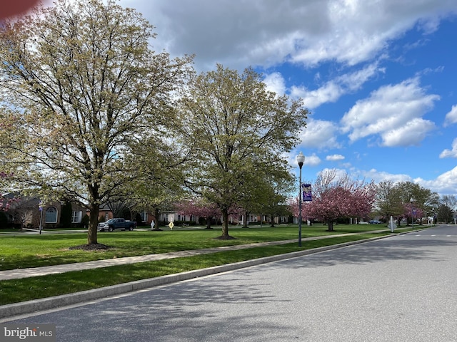 view of street featuring curbs, street lighting, and sidewalks