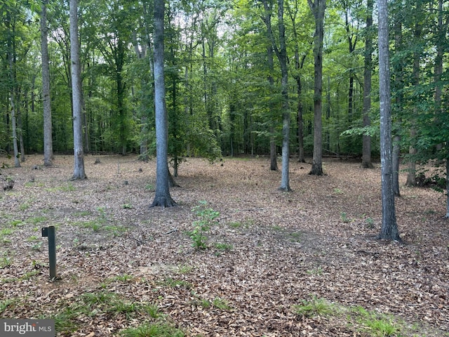 14500 River Junction Dr, Fredericksburg, VA 22407 - view of tree filled area
