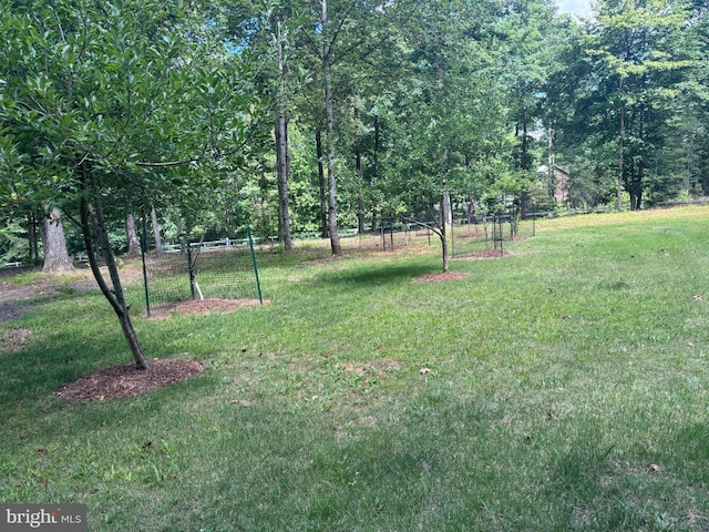 14500 River Junction Dr, Fredericksburg, VA 22407 - view of yard