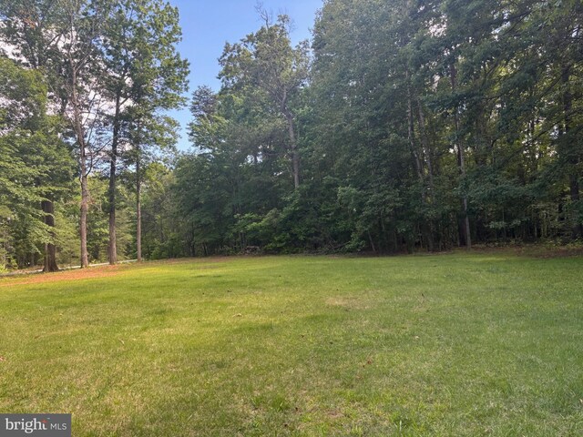 14500 River Junction Dr, Fredericksburg, VA 22407 - view of grassy yard with a forest view