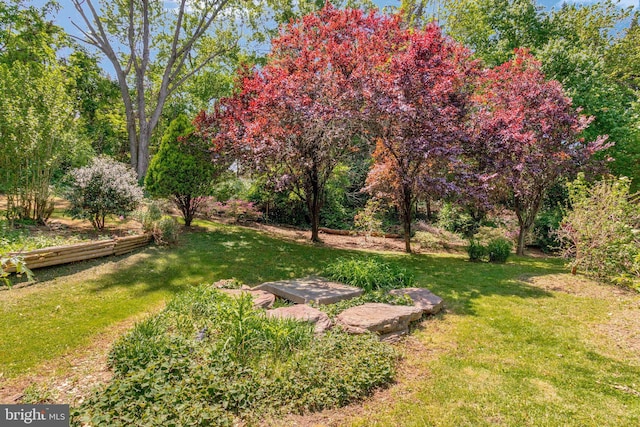 6230 Valley View Dr, Alexandria, VA 22310 - view of yard