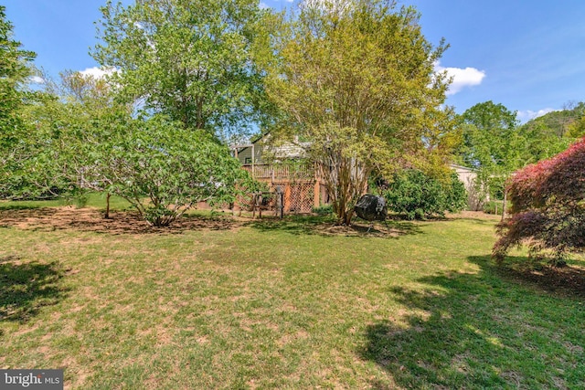 6230 Valley View Dr, Alexandria, VA 22310 - view of yard