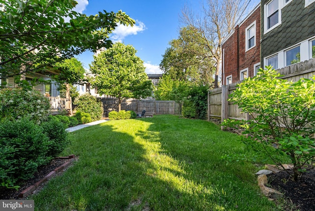 20-22 W Harvey St, Philadelphia, PA 19144 - view of yard