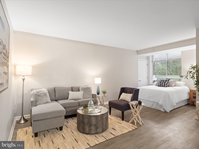 350 G St SW Unit N407, Washington, DC 20024 - bedroom featuring light wood-type flooring and baseboards