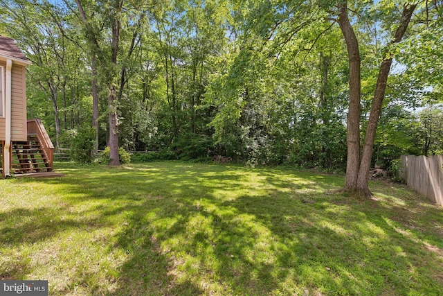 15915 Marlington Dr, Dumfries, VA 22025 - view of yard with stairway