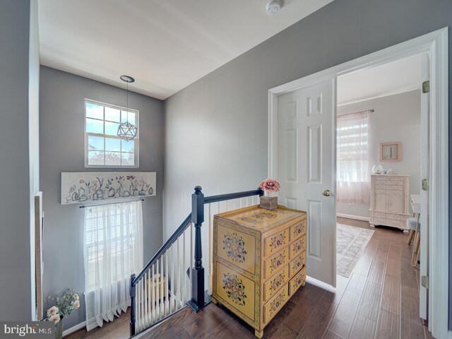 9477 Cromarty Ct, Bristow, VA 20136 - interior space featuring plenty of natural light, dark wood finished floors, and an upstairs landing