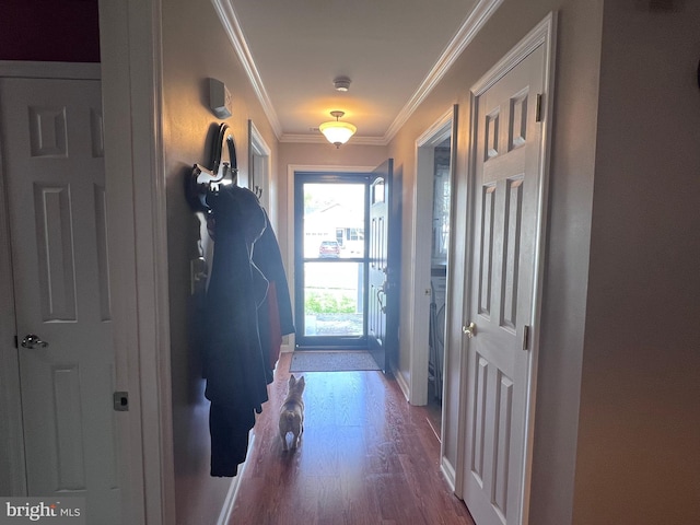 561 Great Oak Ct, Woodstock, VA 22664 - doorway to outside with baseboards, crown molding, and wood finished floors