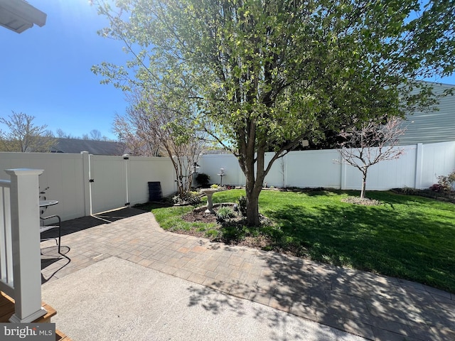 561 Great Oak Ct, Woodstock, VA 22664 - exterior space with a fenced backyard and a gate