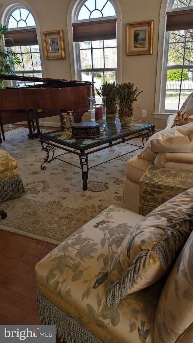402 Village Center Blvd, Milton, DE 19968 - living area featuring hardwood / wood-style floors and plenty of natural light