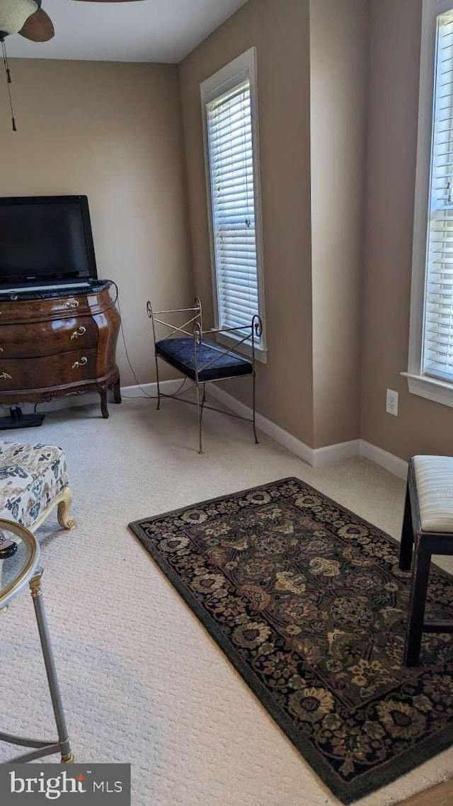 402 Village Center Blvd, Milton, DE 19968 - sitting room featuring carpet and baseboards