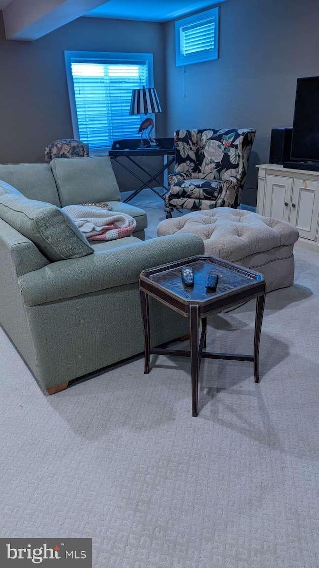 402 Village Center Blvd, Milton, DE 19968 - carpeted living area with a wealth of natural light