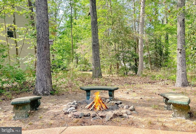 view of home's community with a fire pit