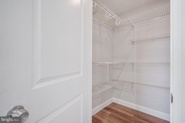 spacious closet with wood finished floors