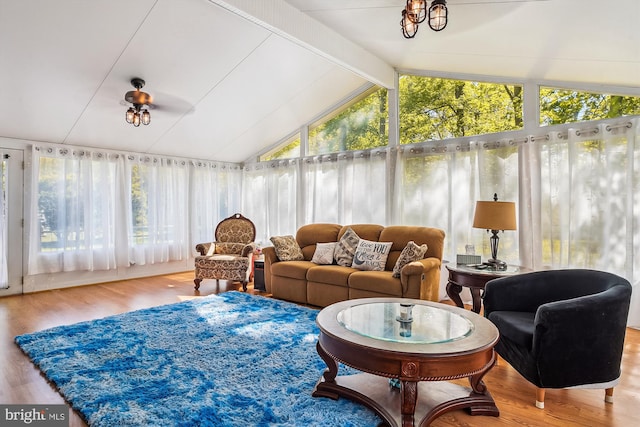 813 Petinot Pl, Stevensville, MD 21666 - sunroom / solarium with wood finished floors and an outdoor living space