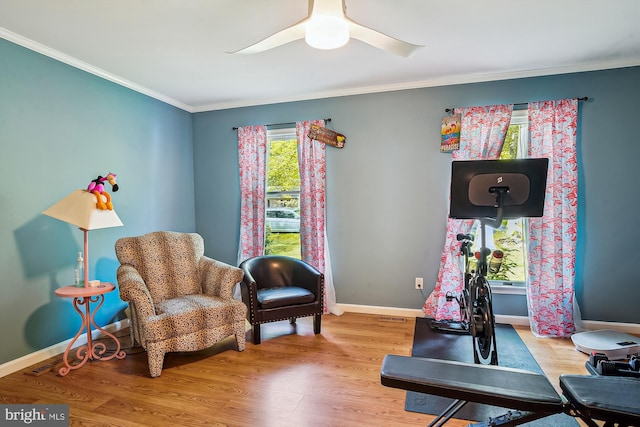 813 Petinot Pl, Stevensville, MD 21666 - exercise area featuring crown molding, wood finished floors, baseboards, and a ceiling fan