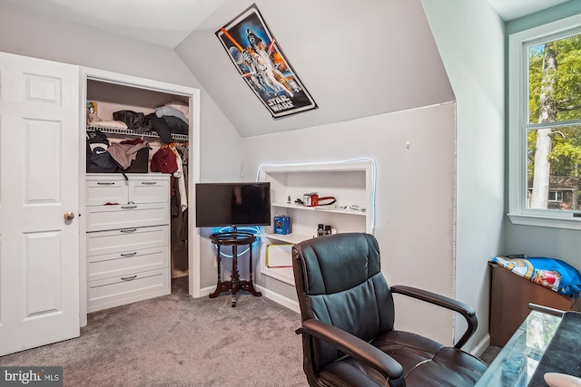 813 Petinot Pl, Stevensville, MD 21666 - office with light colored carpet and lofted ceiling