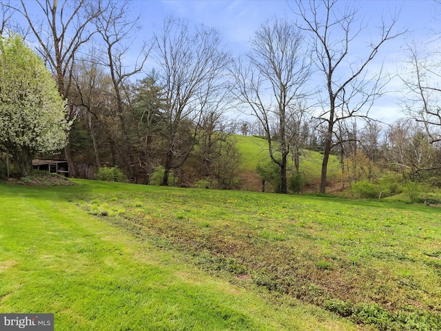 2297 Big Cove Tannery Rd, Big Cove Tannery, PA 17212 - view of yard