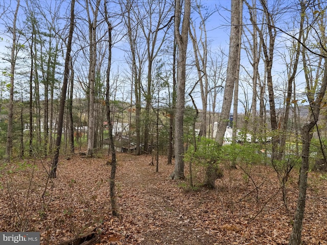 2297 Big Cove Tannery Rd, Big Cove Tannery, PA 17212 - view of landscape