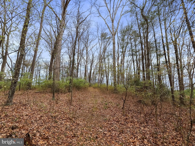 2297 Big Cove Tannery Rd, Big Cove Tannery, PA 17212 - view of landscape