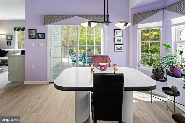 dining room featuring wood finished floors and baseboards