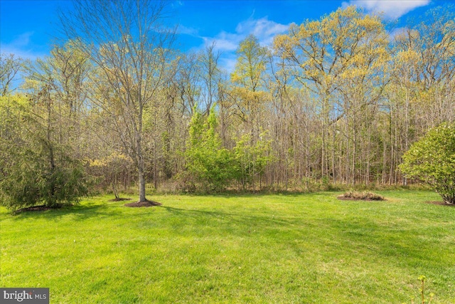 view of yard