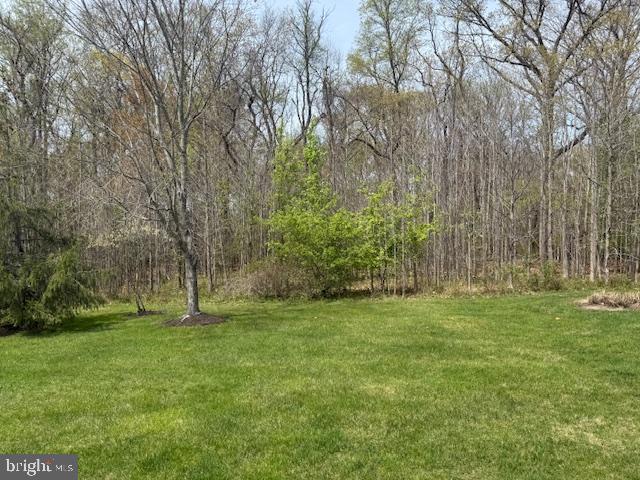 view of yard featuring a wooded view