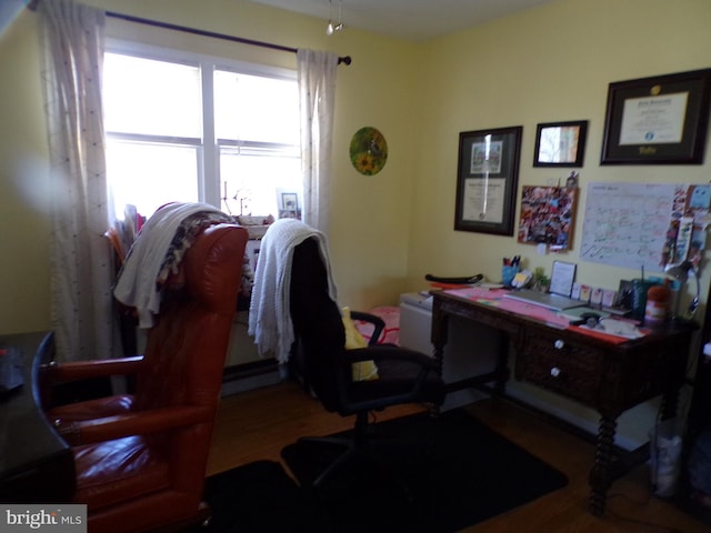 home office featuring wood finished floors