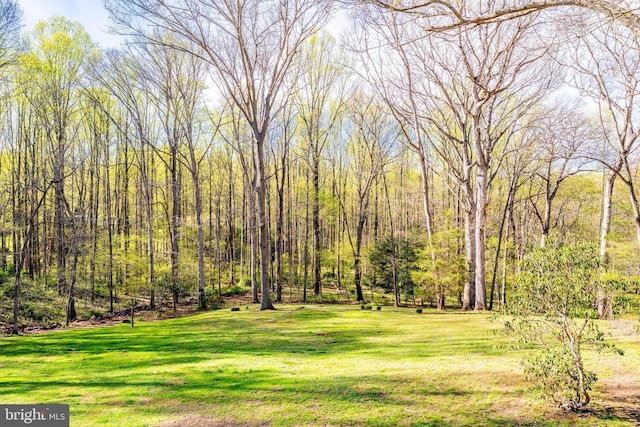 1004 Union Church Rd, Mclean, VA 22102 - view of yard with a view of trees