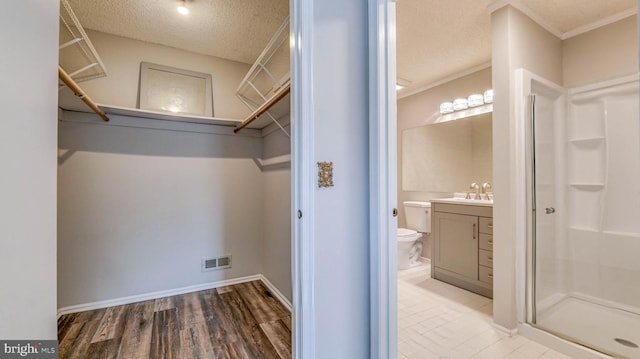 68 Arapaho Pl, Galloway, NJ 08205 - walk in closet featuring wood finished floors, visible vents, and a sink