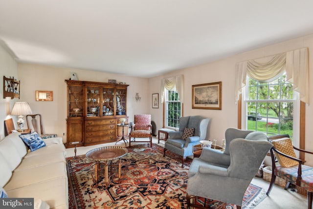9 Still Run Dr, Mickleton, NJ 08056 - view of living area