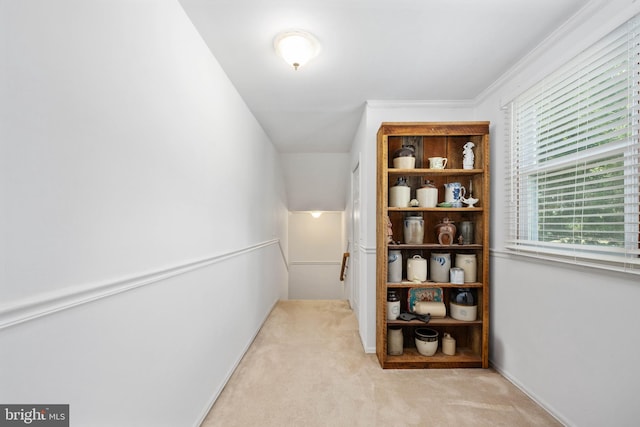 hall with ornamental molding and carpet