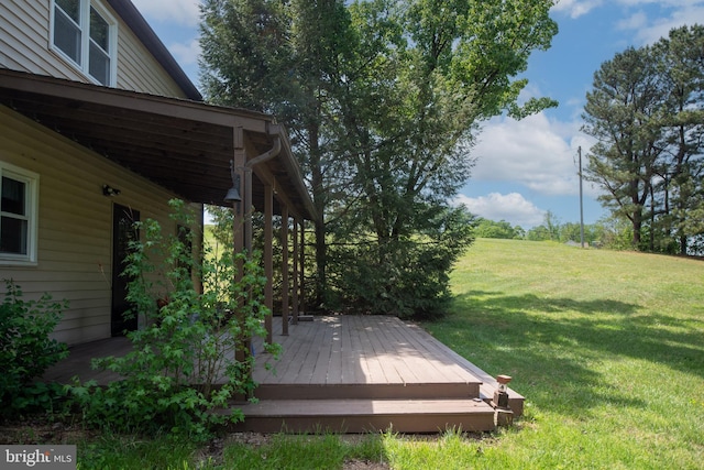 wooden deck featuring a yard