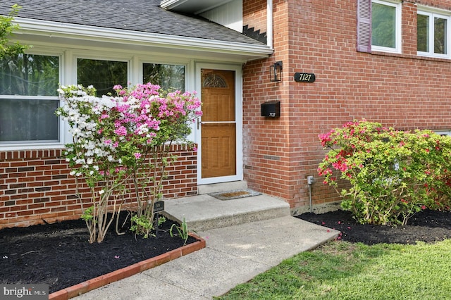 entrance to property with brick siding and a shingled roof