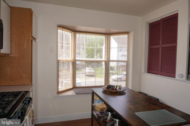dining room featuring plenty of natural light, baseboards, and wood finished floors