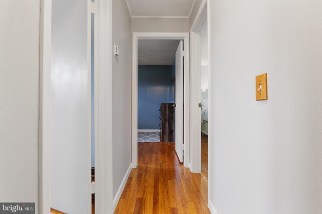 6 Shover Dr, Carlisle, PA 17013 - hall with light wood-style floors, crown molding, and baseboards