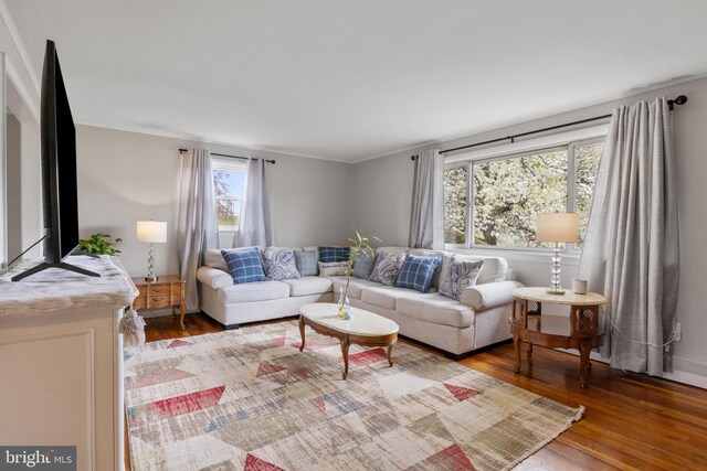 6 Shover Dr, Carlisle, PA 17013 - living room featuring wood finished floors