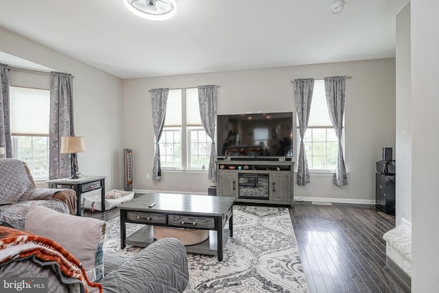 living room featuring a healthy amount of sunlight, baseboards, and hardwood / wood-style floors
