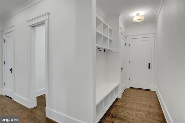 mudroom with ornamental molding and dark wood-style floors