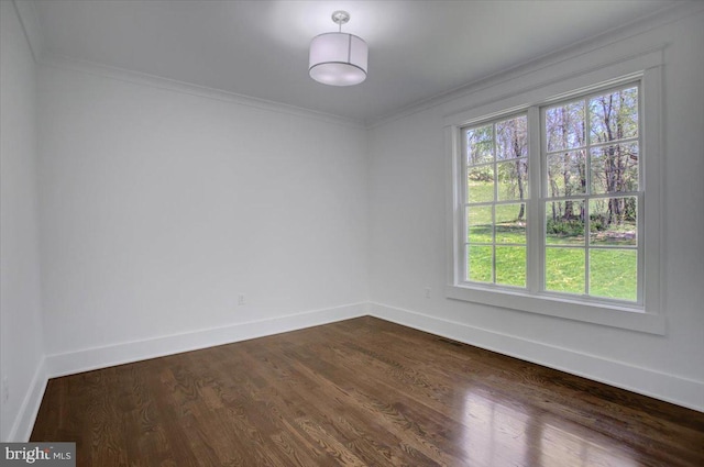 spare room with crown molding, baseboards, and a healthy amount of sunlight