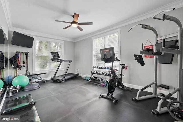 exercise area featuring a ceiling fan, baseboards, and ornamental molding