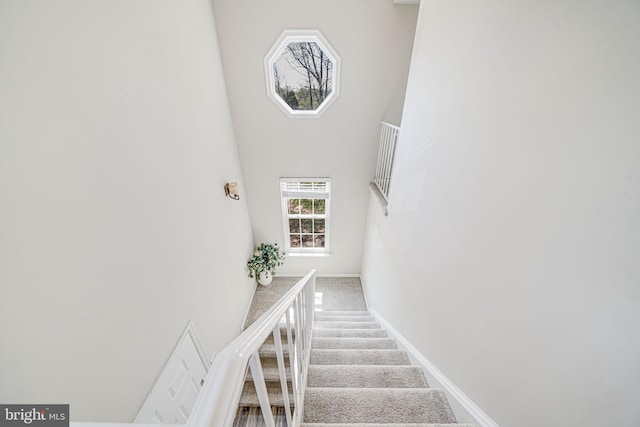 8818 Tanglewood Ln, Manassas, VA 20110 - stairway featuring carpet floors, a towering ceiling, and baseboards