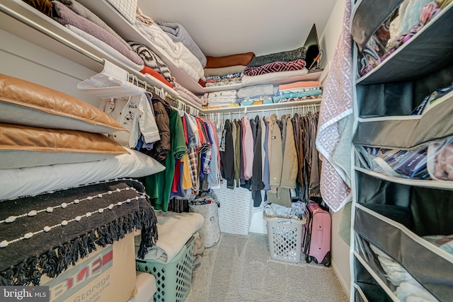 8818 Tanglewood Ln, Manassas, VA 20110 - walk in closet with carpet