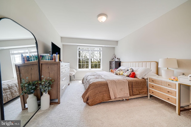 8818 Tanglewood Ln, Manassas, VA 20110 - carpeted bedroom with multiple windows