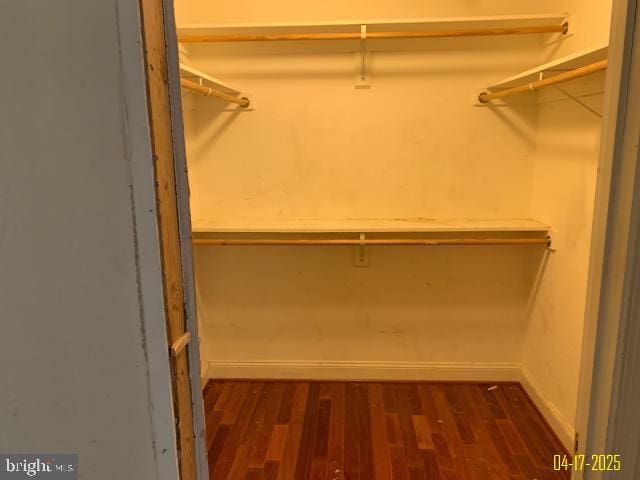 spacious closet featuring wood finished floors
